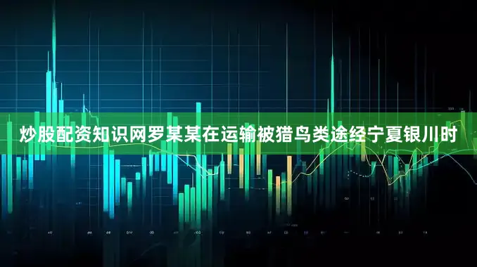 炒股配资知识网罗某某在运输被猎鸟类途经宁夏银川时