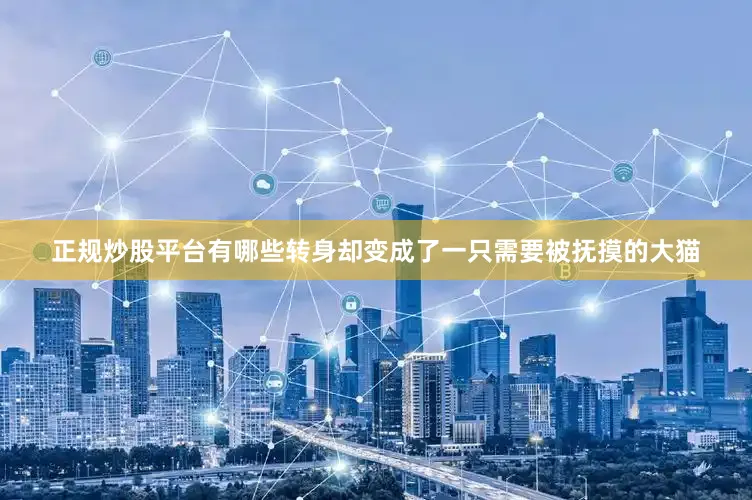 正规炒股平台有哪些转身却变成了一只需要被抚摸的大猫