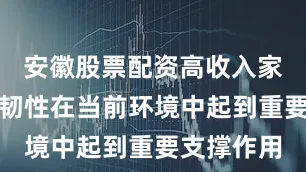 安徽股票配资高收入家庭的支出韧性在当前环境中起到重要支撑作用